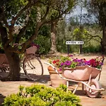 Country house Quinta Aida And *
