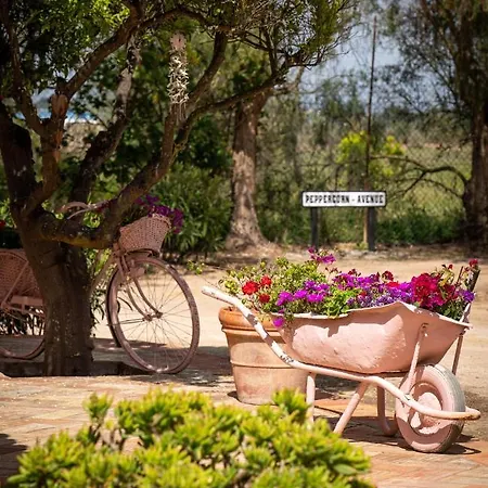 Летний дом Quinta Aida And *