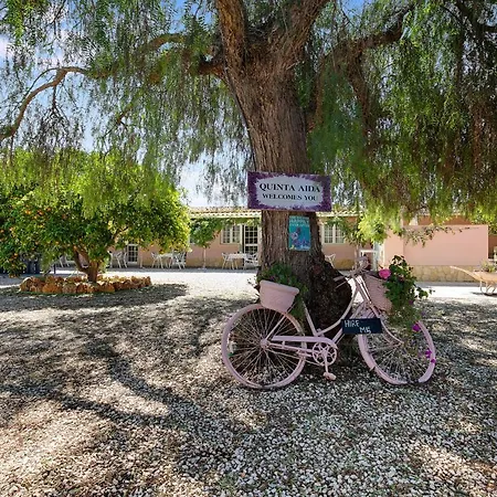 Quinta Aida And Летний дом Лагоа