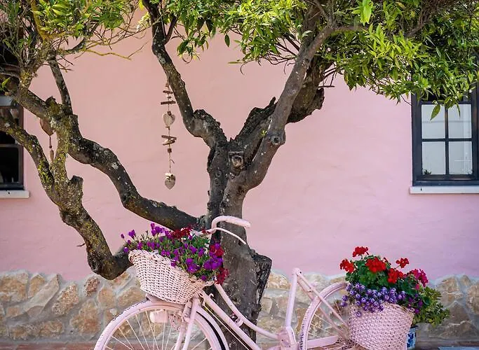 Quinta Aida And בית כפרי