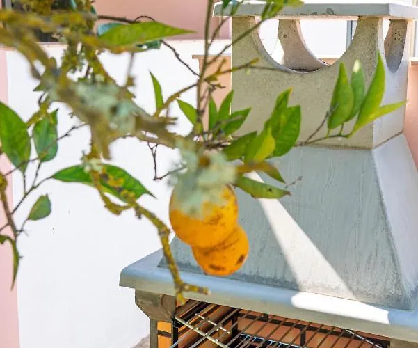 Quinta Aida And לגואה