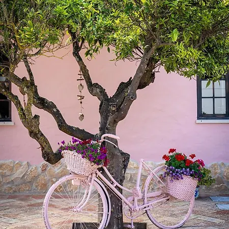 Quinta Aida And Country house
