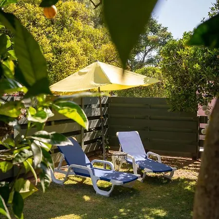 Quinta Aida Cottages&b&b *