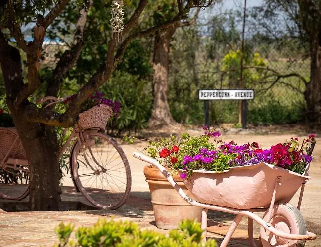 Casa rural Quinta Aida And *