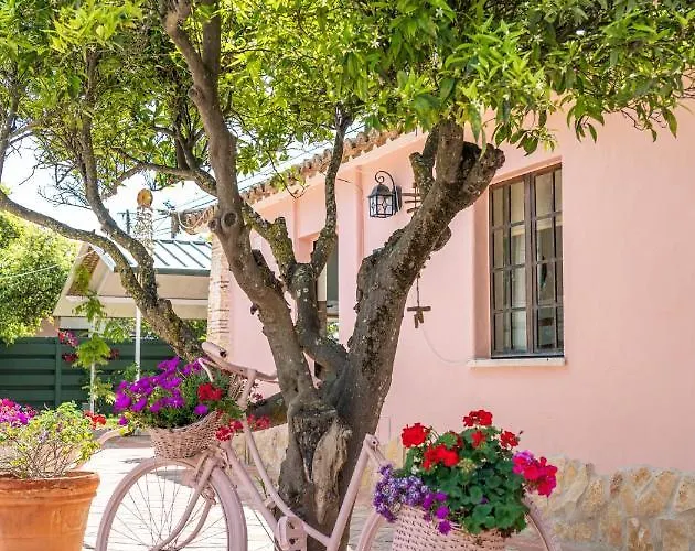 Quinta Aida And