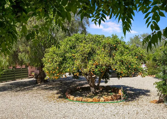 Quinta Aida And